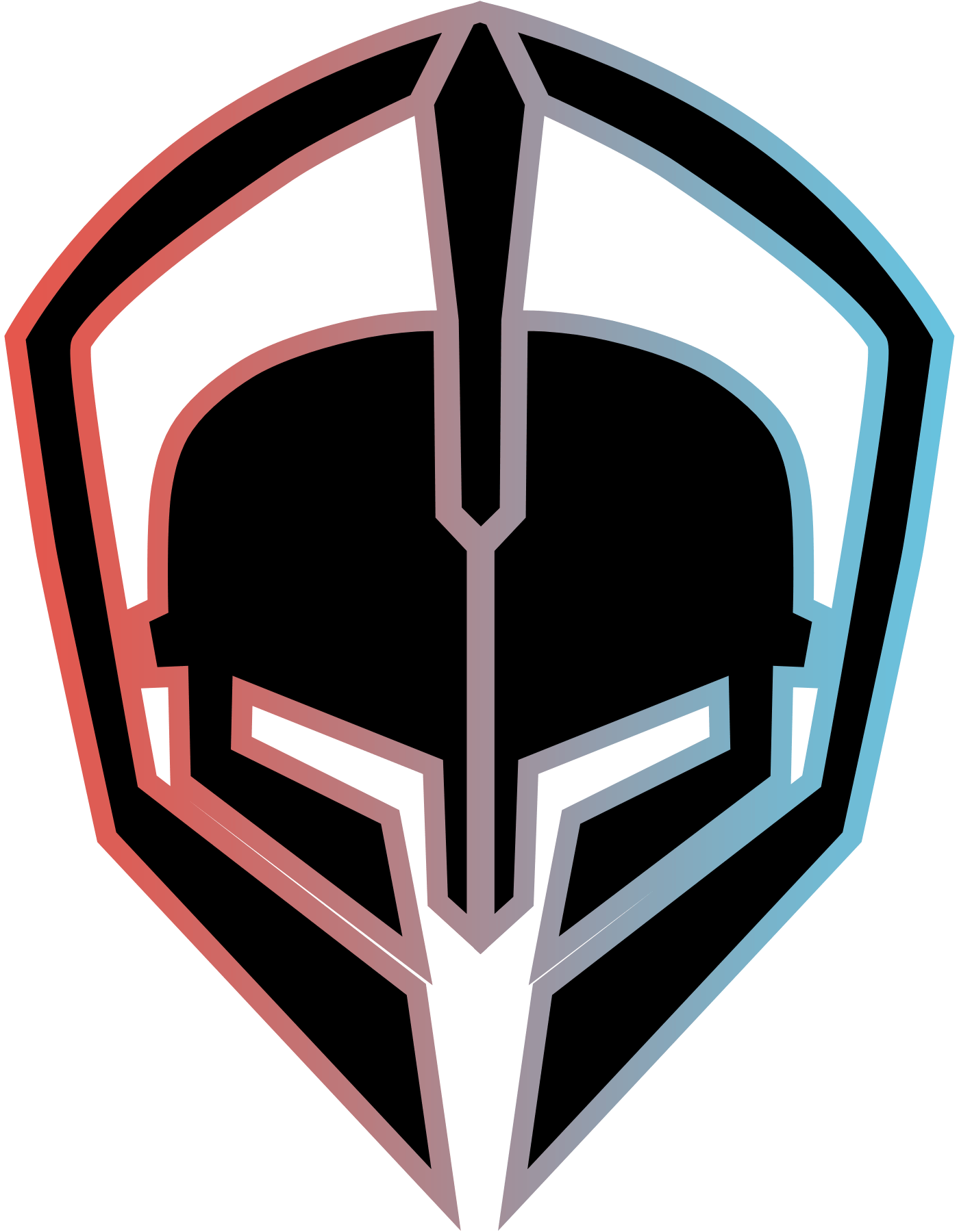 netSpartan Secure Network Solutions Inc.